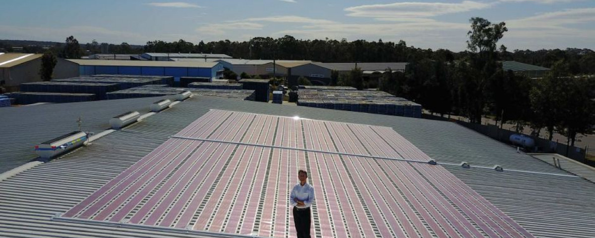 découvrez comment l'innovation solaire en australie résiste à la grêle, offrant des solutions durables et performantes pour bénéficier d'une énergie renouvelable tout en protégeant vos installations. informez-vous sur les avancées technologiques et les projets innovants dans le secteur solaire australien.