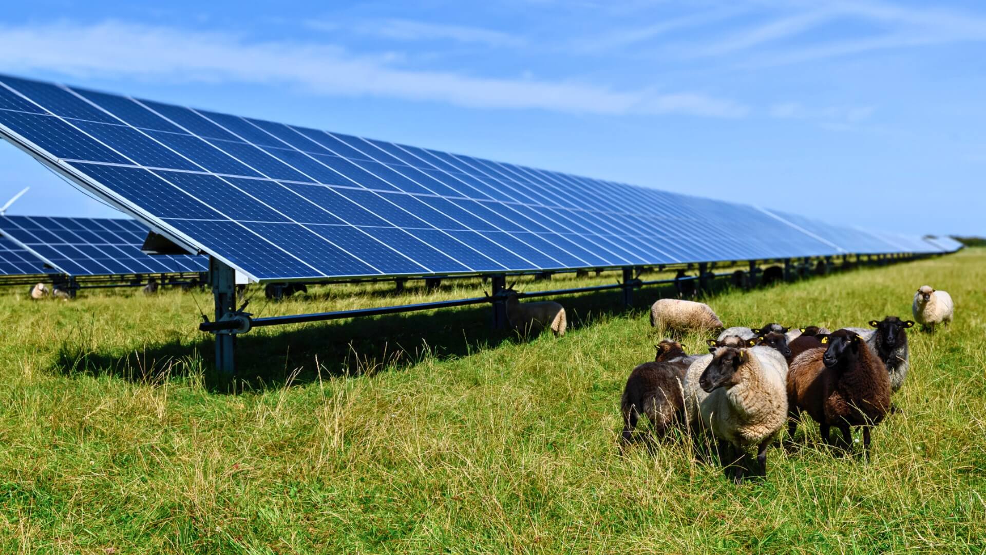 d&eacute;couvrez comment l'installation de panneaux solaires en 2025 peut transformer votre consommation &eacute;nerg&eacute;tique. profitez des derni&egrave;res avanc&eacute;es technologiques, r&eacute;duisez vos factures d'&eacute;lectricit&eacute; et participez &agrave; la transition &eacute;nerg&eacute;tique tout en valorisant votre habitation.
