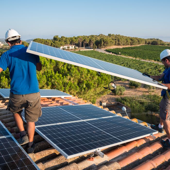 découvrez notre loupe spécialement conçue pour optimiser l'efficacité de vos panneaux solaires. idéale pour un examen approfondi, elle vous permet de repérer rapidement les imperfections et d'assurer un rendement maximal de votre installation solaire.