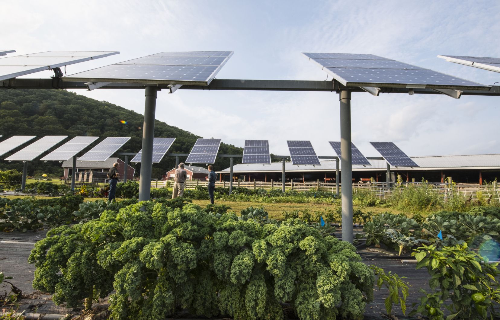 découvrez comment une loupe peut optimiser l'efficacité de votre panneau solaire. apprenez à utiliser cet outil innovant pour maximiser la captation de la lumière et améliorer vos performances énergétiques.