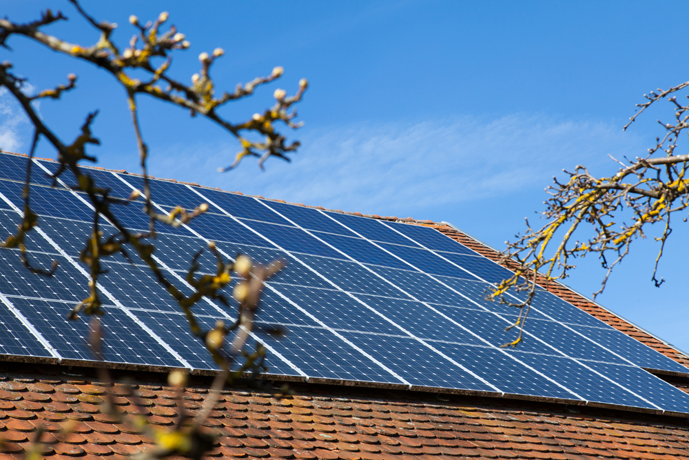 découvrez les meilleures marques de panneaux solaires en 2025. comparez les innovations, la performance et la durabilité des modèles disponibles pour faire un choix éclairé pour votre projet d'énergie renouvelable.