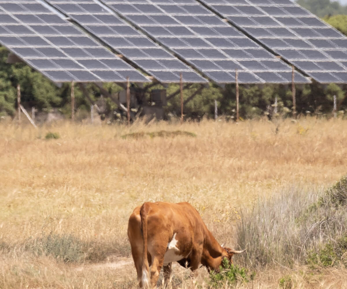 d&eacute;couvrez comment les panneaux solaires peuvent r&eacute;volutionner l'agriculture durable. profitez des aides disponibles pour int&eacute;grer cette technologie verte dans votre exploitation et maximiser votre rendement tout en respectant l'environnement.