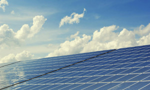 découvrez photowatt ferme, une initiative innovante alliant agriculture et énergies renouvelables. explorez nos solutions durables pour une production électrique respectueuse de l'environnement tout en soutenant l'agriculture locale.