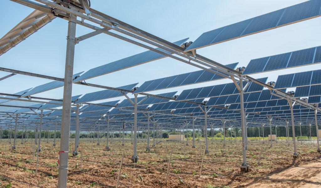 découvrez l'agrivoltaïsme au cœur des vergers d'abricots du roussillon, une pratique innovante qui combine agriculture durable et production d'énergie solaire. apprenez comment cette méthode bénéfique aide les agriculteurs à optimiser leurs récoltes tout en préservant l'environnement.
