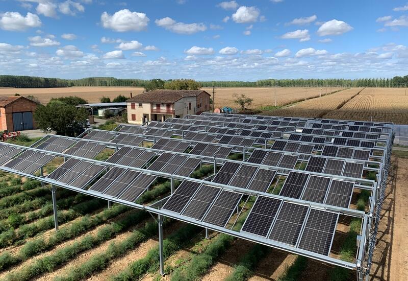 découvrez l'agrivoltaïsme appliqué à la culture de l'abricot dans la région du roussillon. cette approche novatrice allie agriculture durable et production d'énergie solaire, tout en préservant la qualité des fruits et l'environnement. plongez dans un modèle économique durable qui favorise à la fois l'agriculture locale et la transition énergétique.