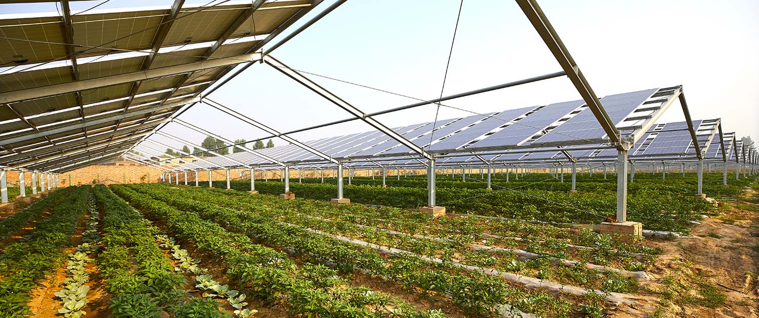 découvrez comment l'agrivoltaïsme transforme l'agriculture moderne en alliant production d'énergie solaire et cultures durables. explorez les avantages environnementaux et économiques de cette approche innovante.