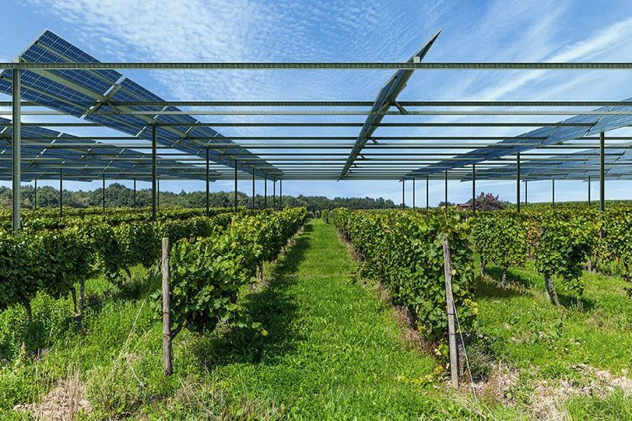 découvrez comment l'agrivoltaïsme, une technique innovante alliant agriculture et production d'énergie solaire, transforme les cultures en optimisant l'utilisation des terres et en favorisant la durabilité. explorez les bénéfices de cette méthode pour l'environnement et la rentabilité des exploitations agricoles.