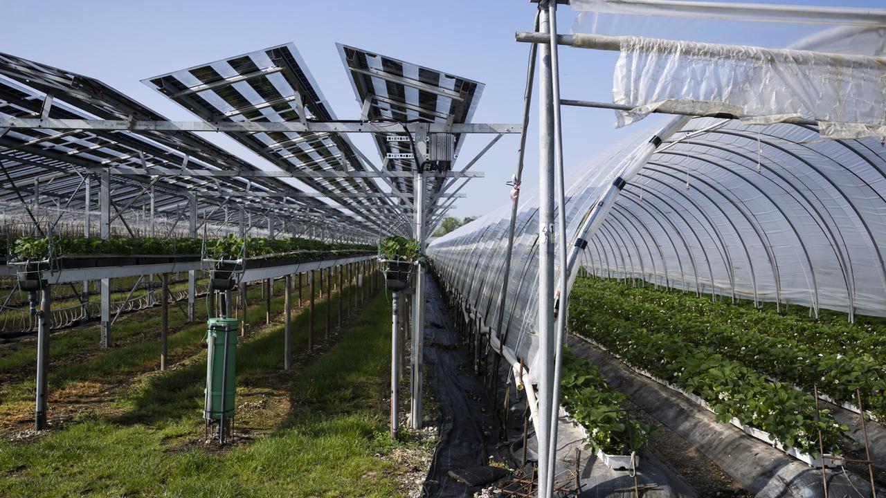 découvrez l'agrivoltaïsme en valais, une solution innovante alliant agriculture durable et production d'énergie solaire. apprenez comment cette approche contribue à la préservation des terres agricoles tout en répondant aux besoins énergétiques croissants de notre région.