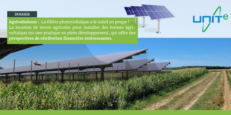 découvrez l'agrivoltaïsme vertical, une innovation durable qui combine agriculture et production d'énergie solaire. explorez comment cette approche révolutionnaire maximise l'utilisation des terres, réduit l'empreinte carbone et favorise une agriculture résiliente face aux défis climatiques.