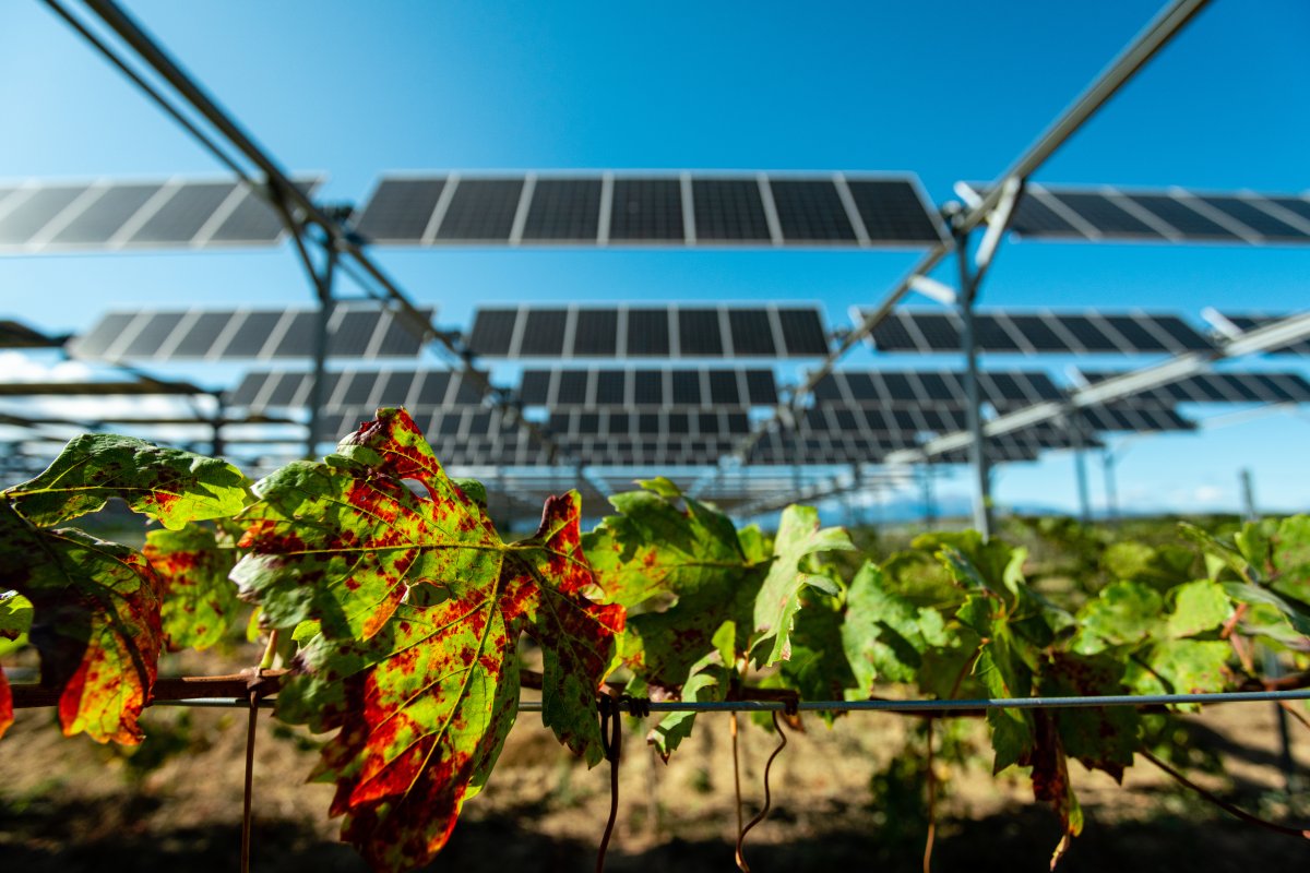 découvrez les avis d'agriculteurs sur l'utilisation des panneaux solaires. apprenez comment ces technologies influencent leur production, réduisent les coûts et améliorent la durabilité de l'agriculture. prenez des décisions éclairées pour l'avenir de votre exploitation.