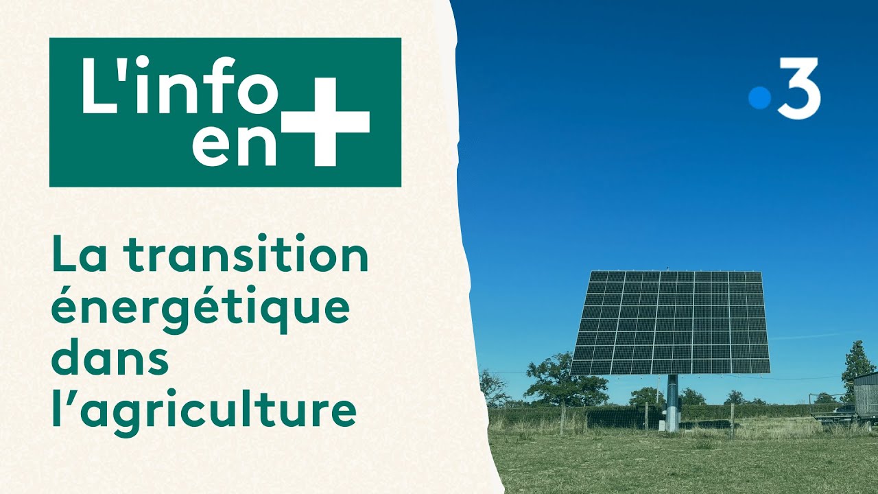 découvrez les avis d'agriculteurs sur l'utilisation des panneaux solaires. explorez leurs expériences, conseils et témoignages pour mieux comprendre les avantages et défis de cette solution énergétique durable dans le secteur agricole.