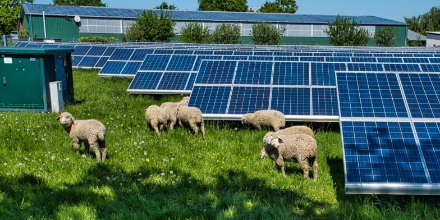 d&eacute;couvrez baywa r.e. en charente-maritime, votre partenaire pour des solutions &eacute;nerg&eacute;tiques durables. profitez de notre expertise en &eacute;nergies renouvelables pour des projets innovants et respectueux de l'environnement.