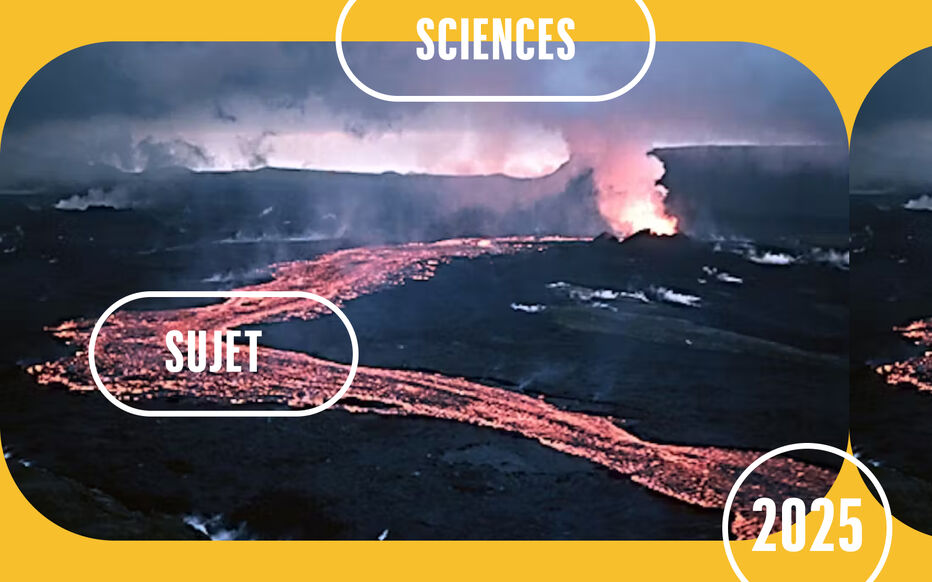 découvrez tout ce qu'il faut savoir sur le brevet professionnel 2025 en sciences : objectifs, contenus pédagogiques, épreuves et conseils pour réussir votre examen. préparez-vous efficacement et vite avec nos ressources dédiées.