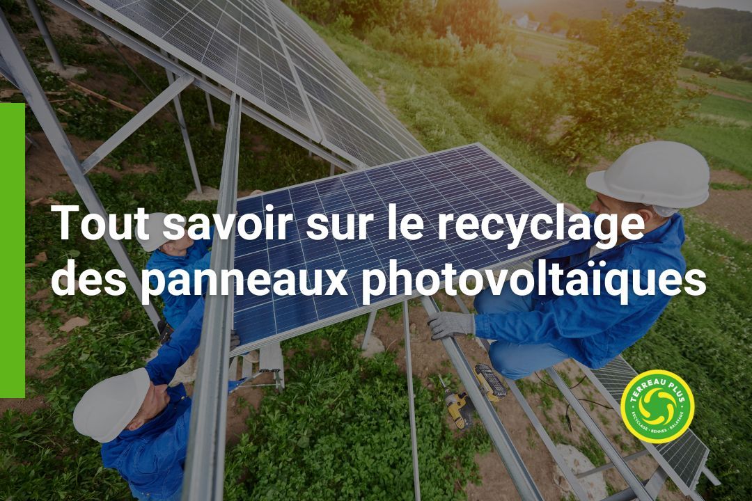 découvrez les meilleures pratiques et opportunités de collecte pour les panneaux solaires en 2023. optimisez votre impact environnemental tout en contribuant à la transition énergétique grâce à des solutions innovantes.