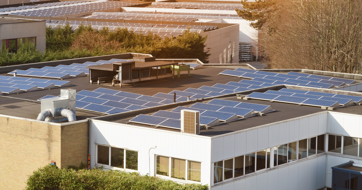 découvrez le collectif solaire, une initiative innovante dédiée à la promotion de l'énergie solaire au sein de votre communauté. rejoignez-nous pour contribuer à un avenir durable tout en bénéficiant d'économies sur vos factures d'énergie. ensemble, faisons briller le soleil !