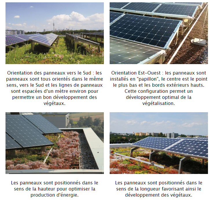 d&eacute;couvrez notre comparateur de panneaux solaires, con&ccedil;u pour vous aider &agrave; analyser l'empreinte carbone de chaque option. faites le choix &eacute;clair&eacute; pour un avenir durable en &eacute;valuant l'impact environnemental de vos installations solaires.