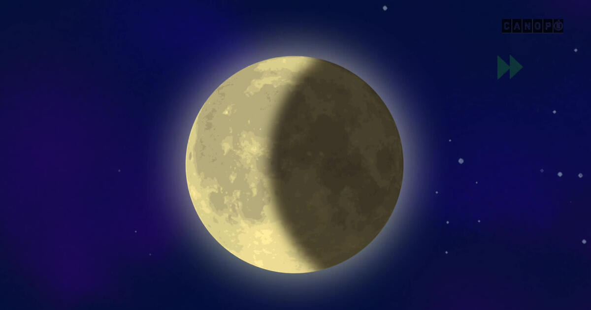 découvrez la magie de l'éclipse de lune, un phénomène céleste fascinant où la terre se place entre le soleil et la lune, créant un spectacle visuel époustouflant. apprenez tout sur les différents types d'éclipses lunaires, leurs significations culturelles et comment les observer en toute sécurité.