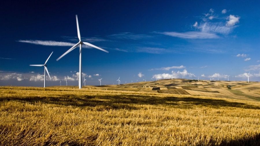 découvrez comment allier écologie et rentabilité dans votre entreprise. adoptez des pratiques durables tout en optimisant vos profits grâce à des stratégies innovantes et responsables.