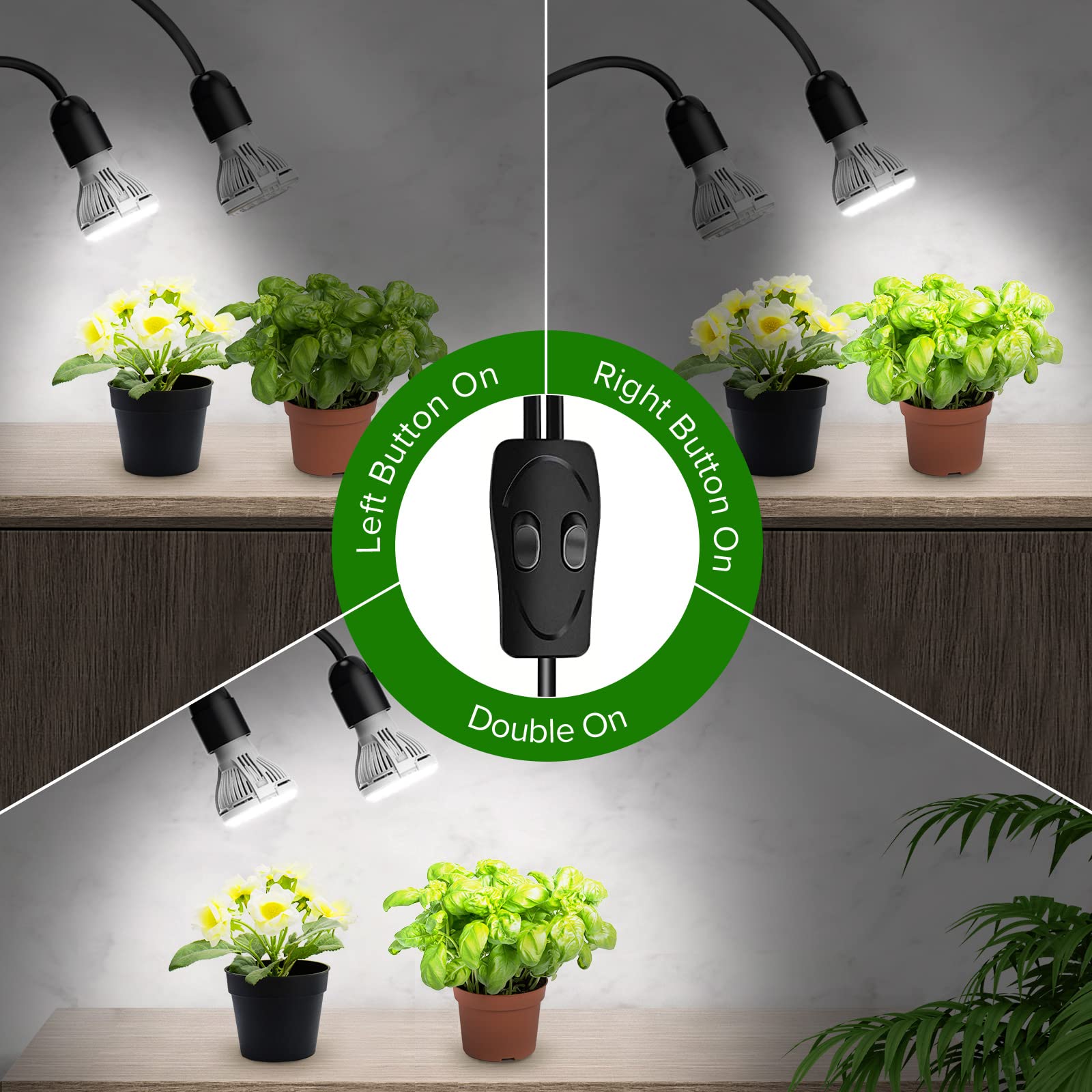 découvrez l'électricité végétale, une approche innovante fusionnant nature et technologie. explorez comment les plantes peuvent générer de l'énergie en transformant l'harmonie entre l'environnement et les besoins énergétiques de demain.