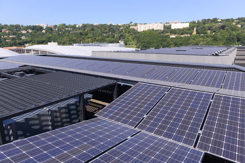découvrez l'électricité végétale, une innovation écologique qui exploite les propriétés des plantes pour générer de l'énergie. explorez comment cette technologie durable transforme notre approche de la production d'énergie et contribue à la protection de l'environnement.