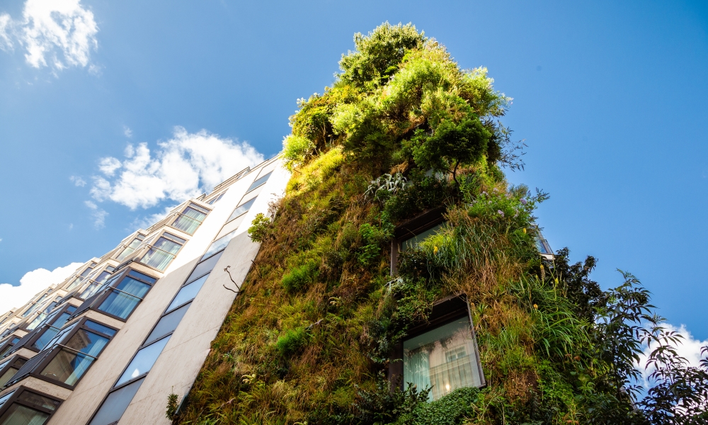 découvrez la fontaine d'ouche à dijon, un espace emblématique qui incarne l'énergie positive. profitez d'un cadre revitalisant, d'activités conviviales et d'une ambiance chaleureuse, idéale pour se ressourcer et se connecter avec la nature.