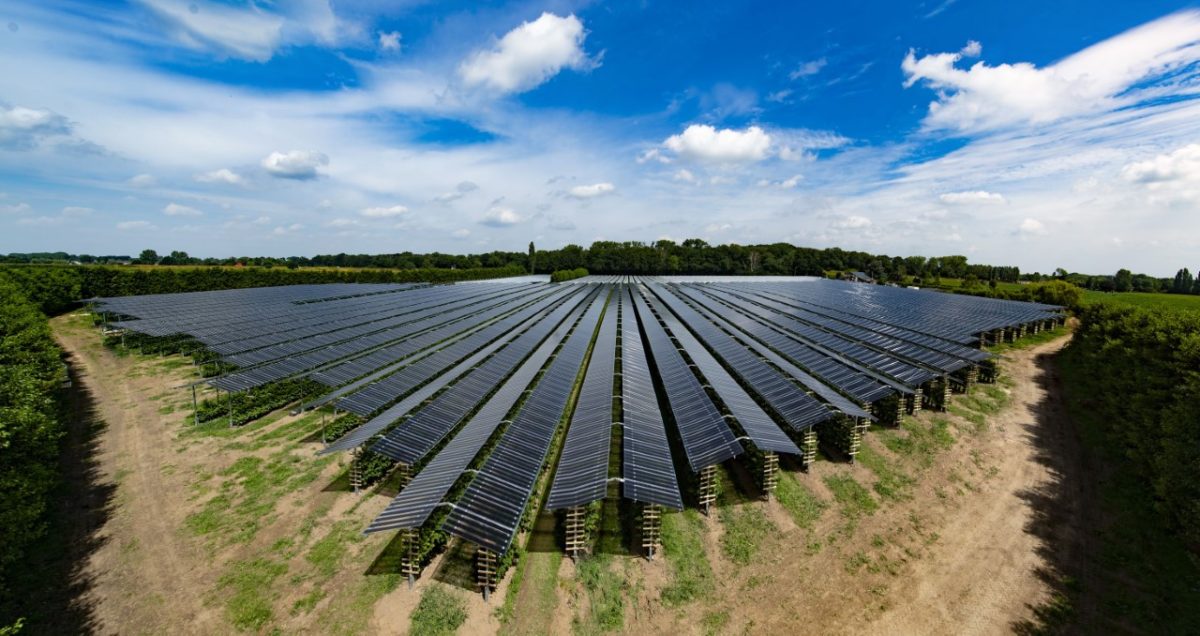 découvrez les avancées des projets photovoltaïques en france, avec une capacité impressionnante de 912 mw. explorez les impacts sur l'énergie renouvelable et le développement durable au cœur de l'hexagone.