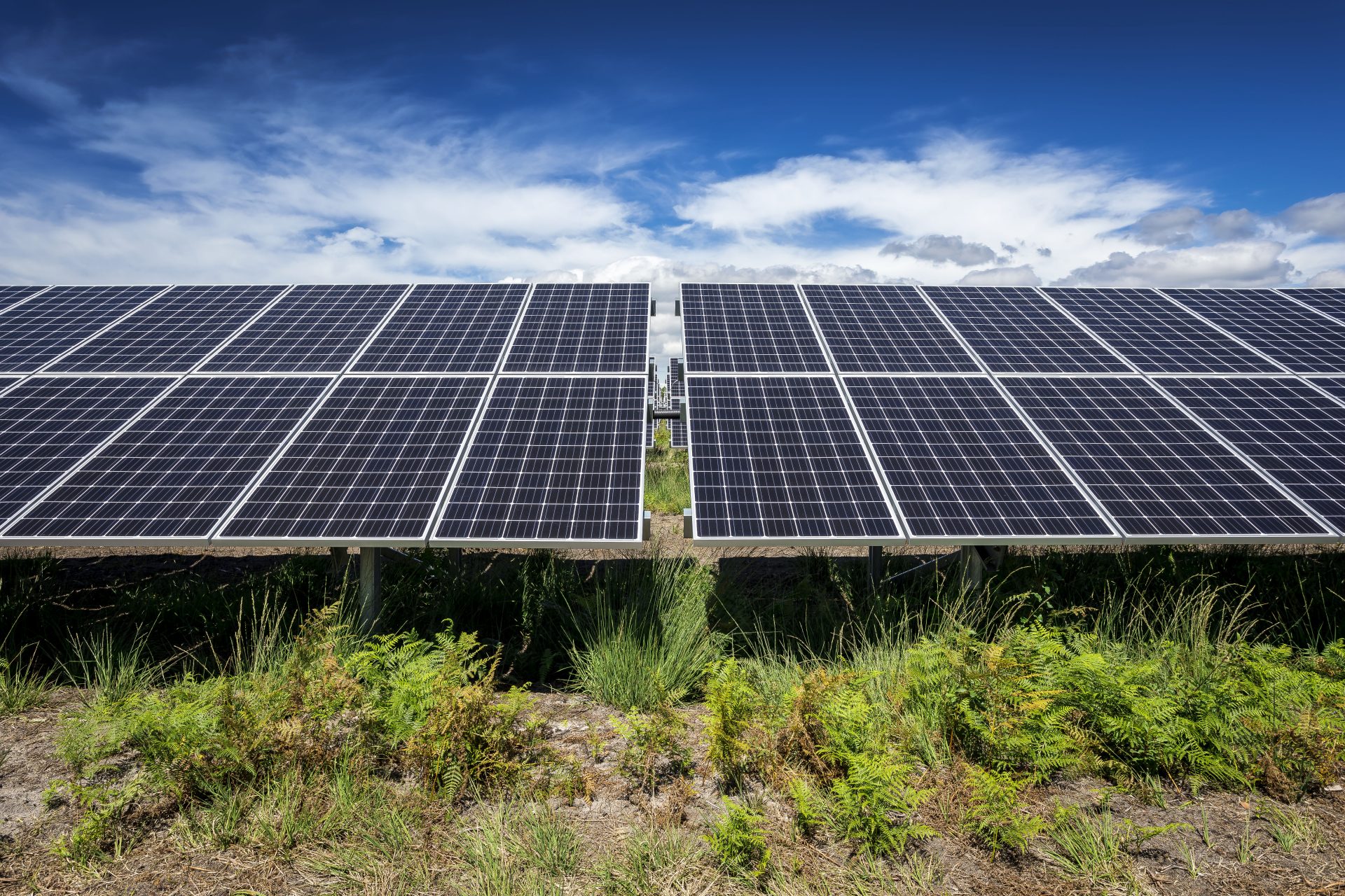 découvrez notre guide complet sur les panneaux solaires : avantages, coût, installation et entretien. informez-vous pour enfiler le chemin vers une énergie propre et économique, tout en réduisant votre empreinte carbone.