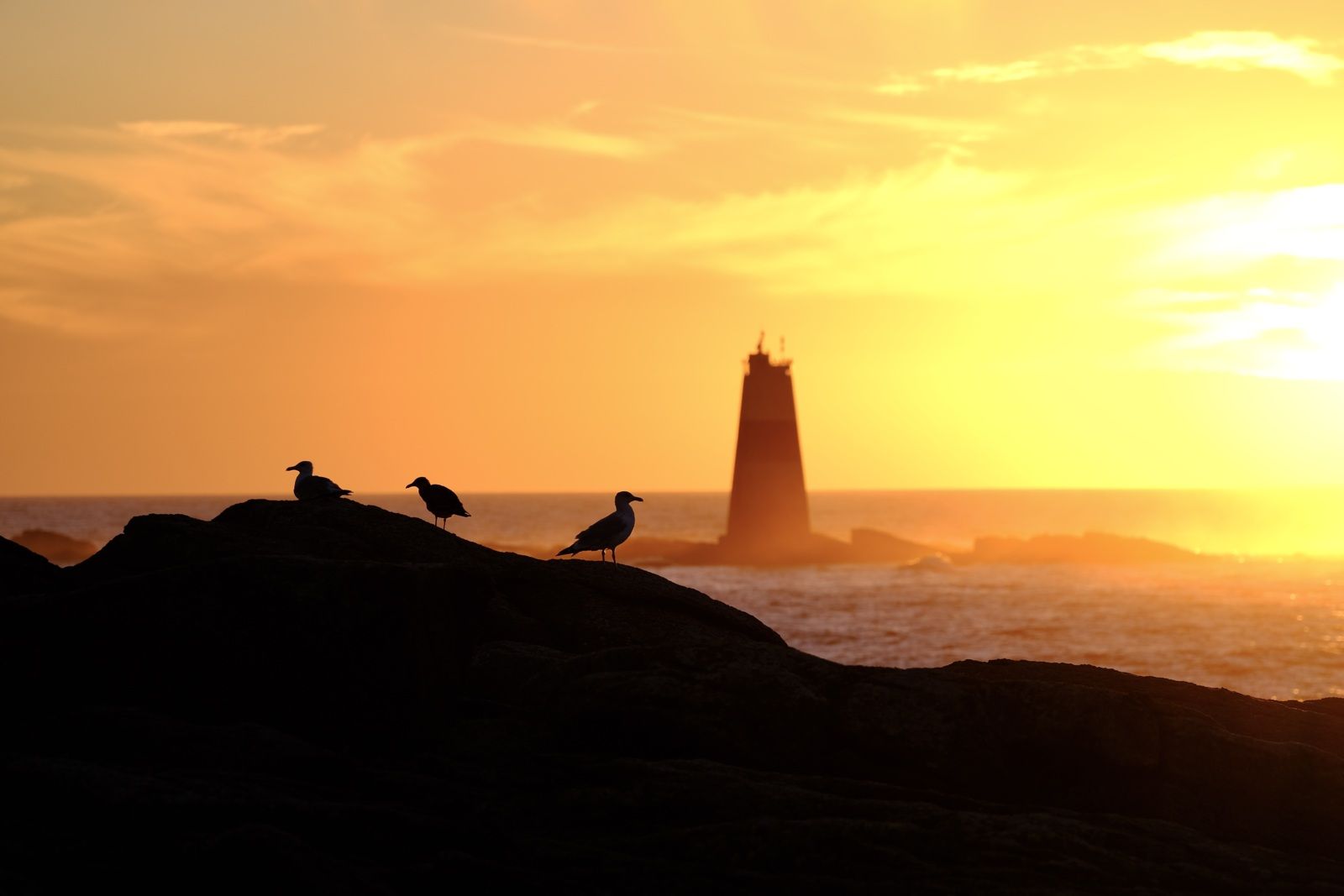 découvrez l'île d'yeu, un joyau du littoral français où le soleil brille intensément toute l'année. profitez de ses plages dorées, de ses paysages sauvages et de son ambiance paisible, parfaits pour des vacances inoubliables. plongez dans une expérience unique au cœur de la nature!