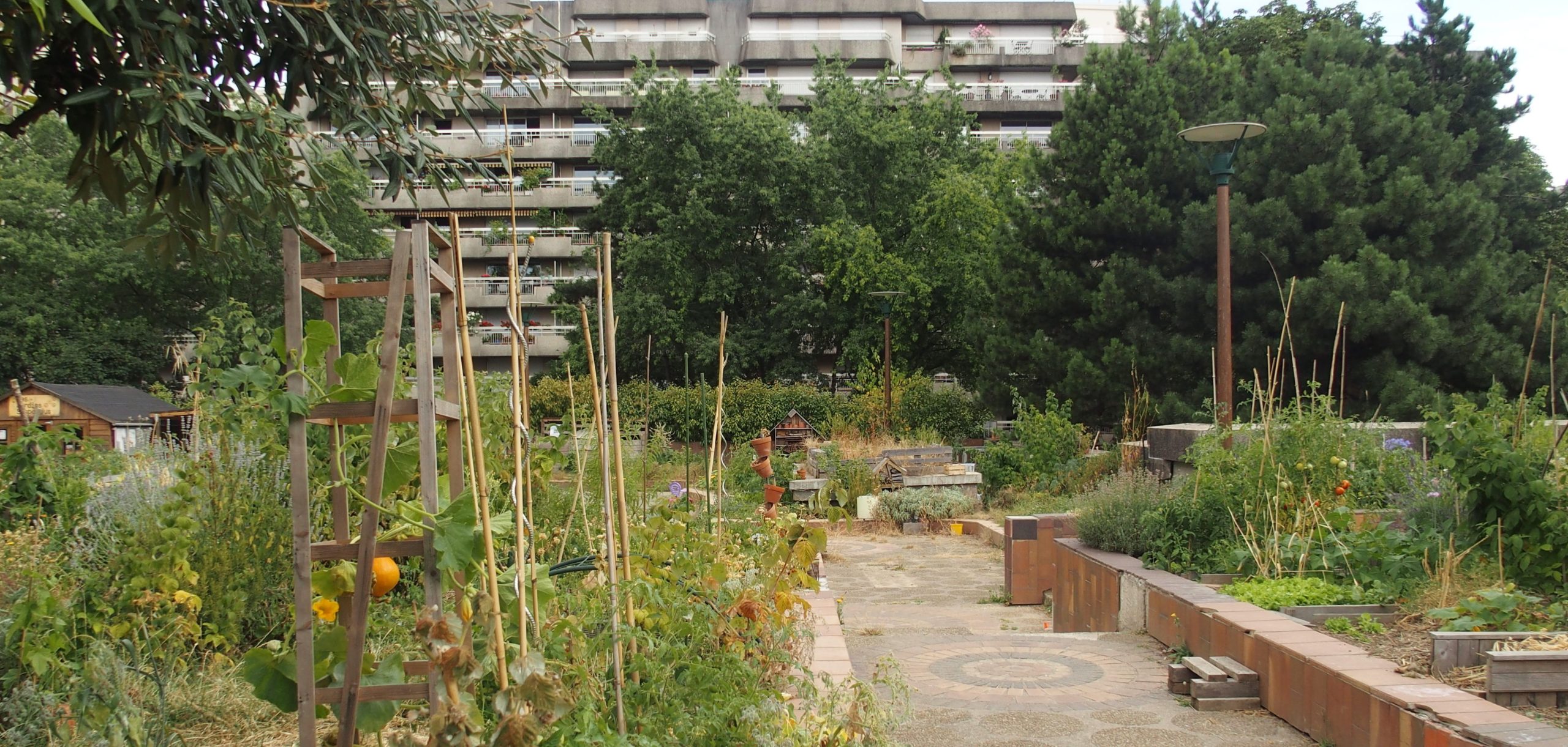 découvrez l'harmonie et le partage au sein de notre jardin commun, un espace convivial dédié à la nature, à la biodiversité et à la rencontre entre voisins. participez à des activités écoresponsables, cultivez des plantes ensemble et créez des souvenirs inoubliables dans ce lieu de vie et de partage.