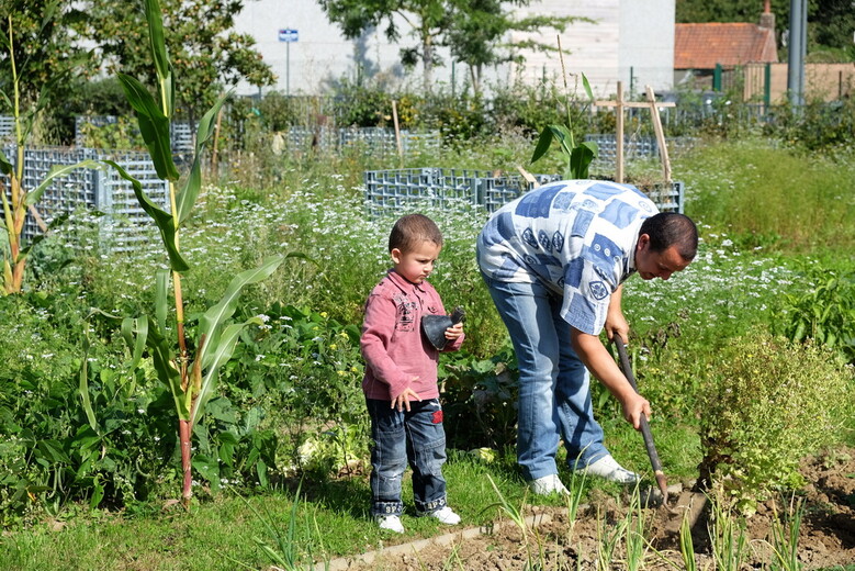 découvrez l'harmonie et la convivialité d'un jardin commun, un espace partagé où nature et communauté se rencontrent. échangez des idées, cultivez des plantes et partagez des moments inoubliables dans un cadre verdoyant et accueillant.
