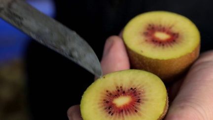 découvrez les bienfaits de la culture des kiwis sous serres : une méthode innovante pour garantir des fruits juteux et savoureux tout au long de l'année. apprenez-en plus sur les techniques de culture, les avantages environnementaux et la récolte de ces délices vitaminés.