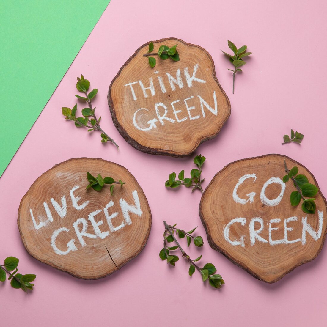 découvrez notre sélection de marques éco-responsables qui allient style et respect de l'environnement. engagez-vous pour un avenir durable tout en restant tendance grâce à des produits éthiques et responsables.