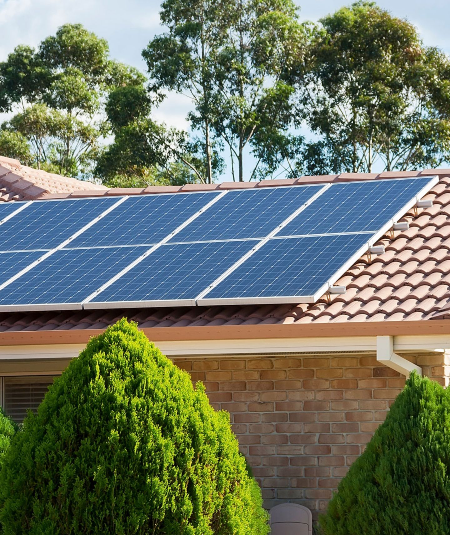 découvrez comment les partenariats autour des panneaux solaires peuvent enrichir votre projet énergétique, maximiser vos économies et contribuer à un avenir durable. rejoignez-nous pour exploiter les avantages des énergies renouvelables !