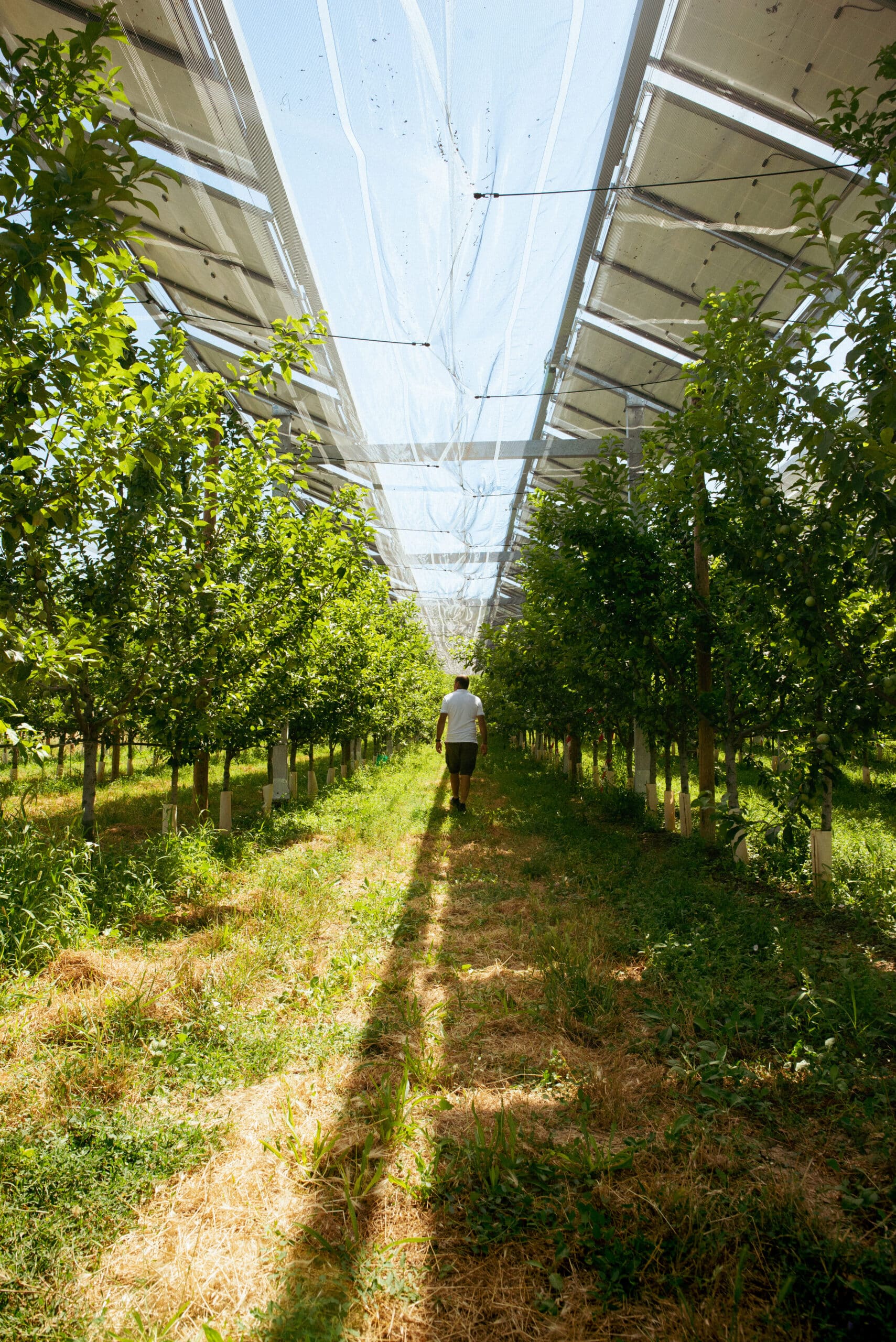 découvrez comment totalenergies optimise les performances agricoles grâce à des solutions innovantes et durables. explorez notre engagement pour une agriculture responsable et performante.