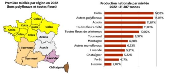 découvrez les différences majeures entre les produits régionaux et nationaux. explorez leurs spécificités, avantages et l'impact sur l'économie locale et nationale. un guide essentiel pour les consommateurs soucieux de qualité et de provenance.