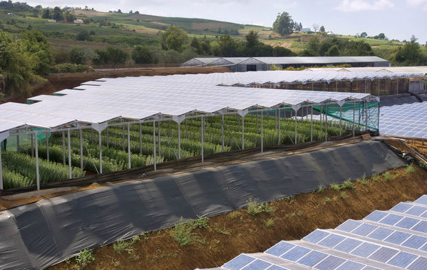 découvrez des scénarios de simulation innovants pour optimiser l'installation de panneaux solaires. explorez les différentes configurations et valeurs d'énergie, et maximisez l'efficacité de votre système solaire grâce à des analyses détaillées.