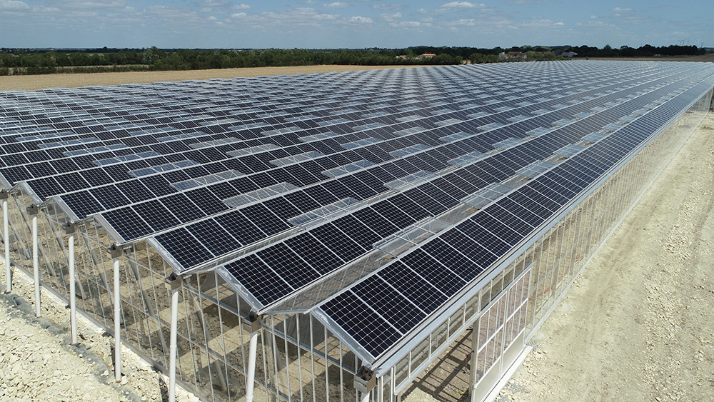 découvrez les avantages d'une serre photovoltaïque, un espace de culture innovant alliant agriculture et production d'énergie renouvelable. optimisez vos récoltes tout en réduisant votre empreinte carbone grâce à cette solution durable et moderne.