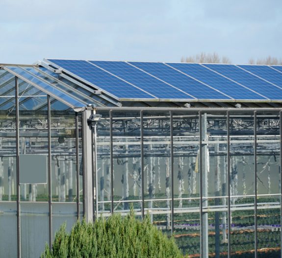 découvrez les avantages d'une serre photovoltaïque, une solution innovante alliant agriculture et production d'énergie renouvelable. maximisez vos cultures tout en optimisant l'utilisation de l'espace et en réduisant votre empreinte carbone.