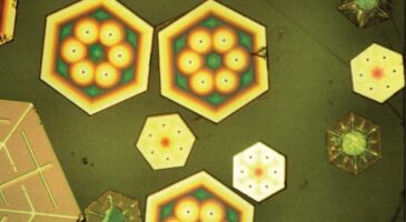 découvrez comment les énergies solaires renforcent la compétitivité des entreprises et des économies à travers des solutions durables et innovantes. explorez les avantages économiques et environnementaux de l'énergie solaire dans votre secteur.