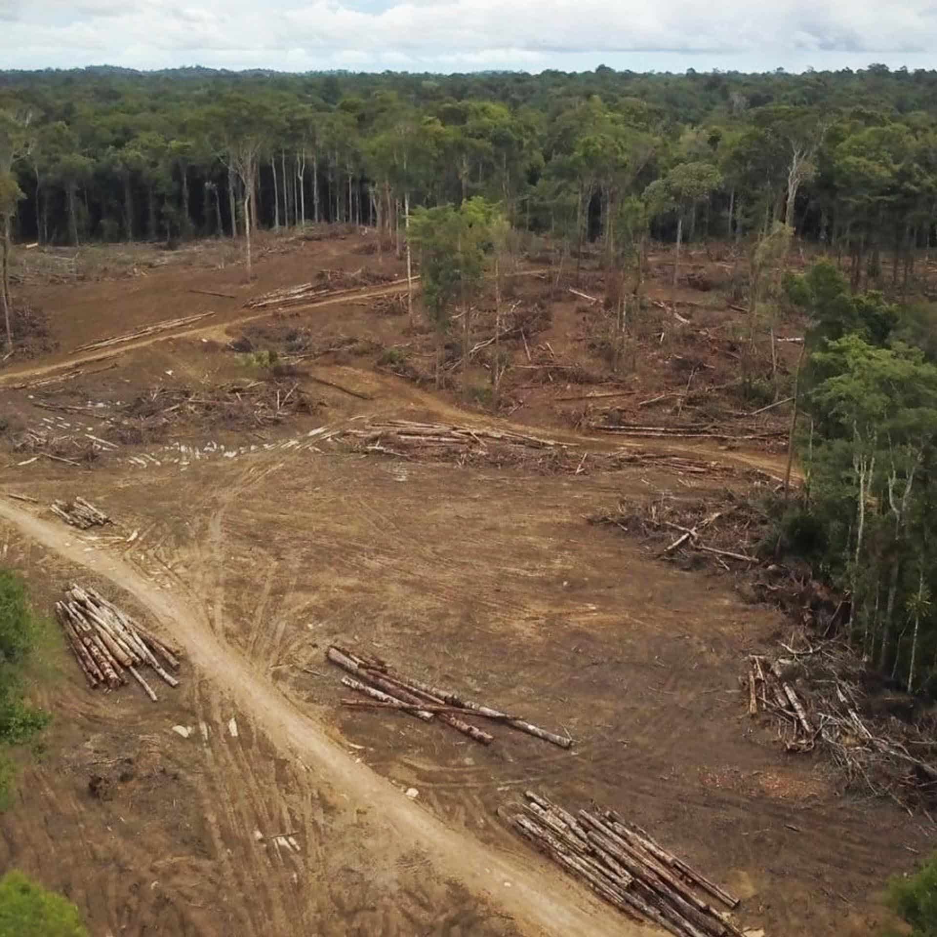 explorez les enjeux de la transition énergétique en guyane, en mettant l'accent sur les droits des peuples autochtones. découvrez comment ces communautés proto-défendent leur patrimoine culturel et environnemental face aux défis énergétiques contemporains.