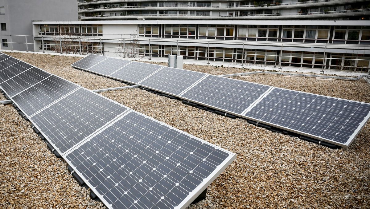 découvrez notre usine de panneaux solaires en moselle, où innovation et écologie se rencontrent. nous produisons des solutions photovoltaïques de haute qualité pour un avenir durable et respectueux de l'environnement. rejoignez la révolution énergétique avec nos panneaux solaires performants.