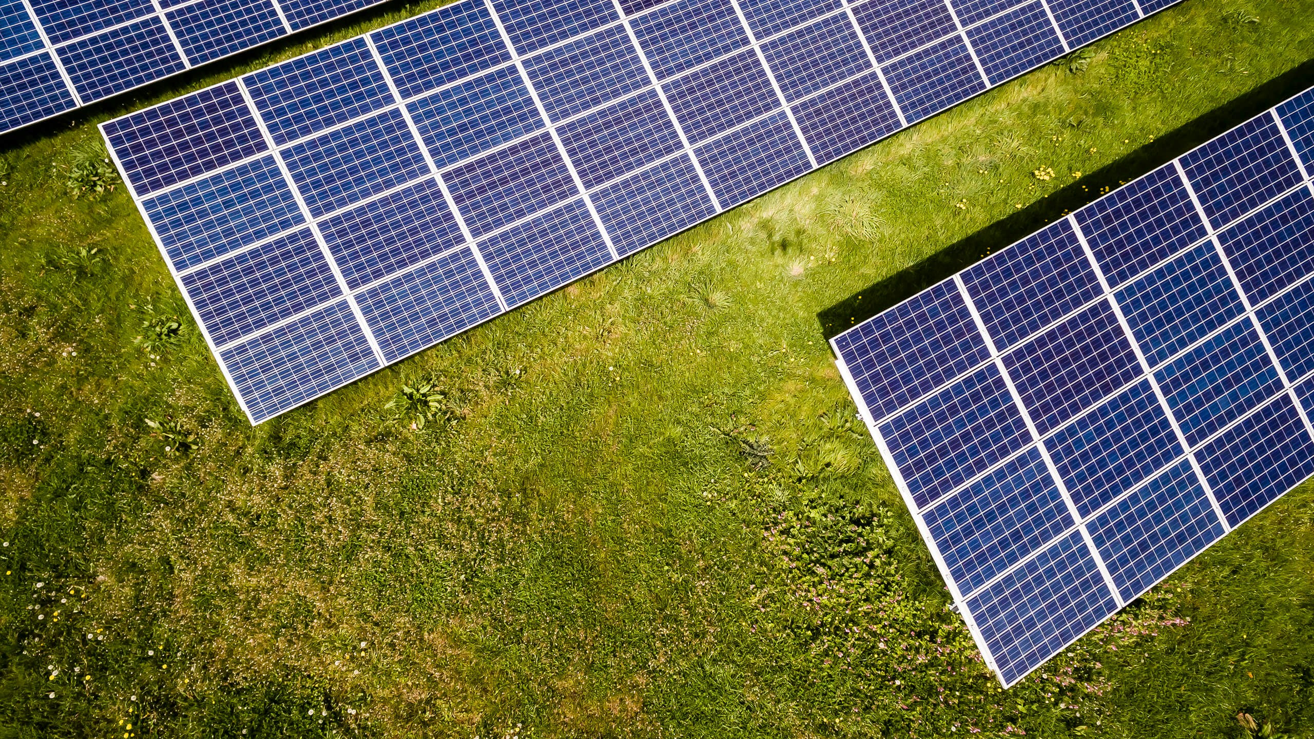 d&eacute;couvrez les enjeux environnementaux li&eacute;s aux panneaux solaires, leur impact sur l'&eacute;cosyst&egrave;me, ainsi que les solutions pour une &eacute;nergie renouvelable durable et responsable.