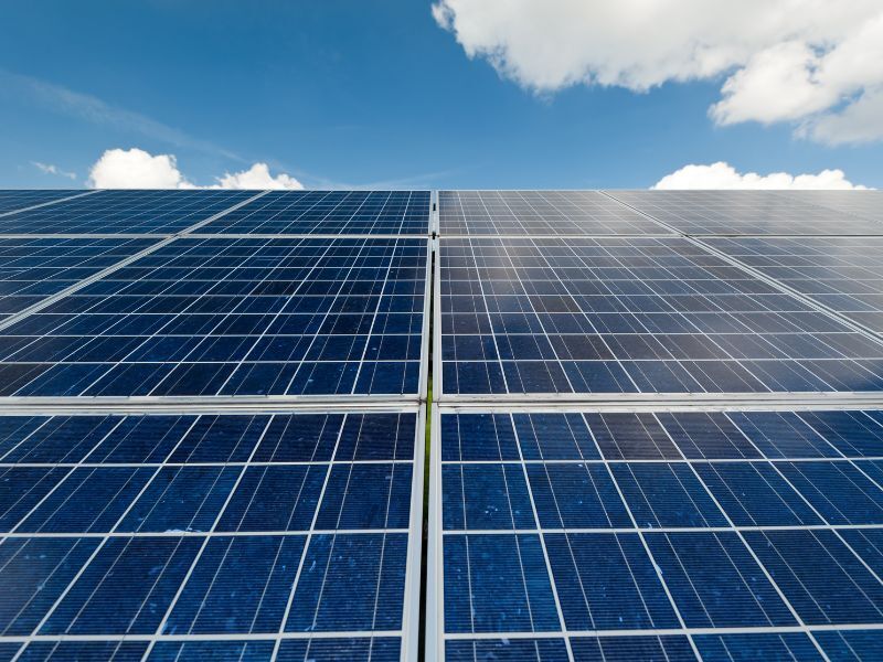 découvrez comment l'innovation écologique transforme notre avenir, avec des solutions durables et créatives pour préserver notre planète. explorez les dernières avancées en matière de technologies vertes et d'initiatives respectueuses de l'environnement.
