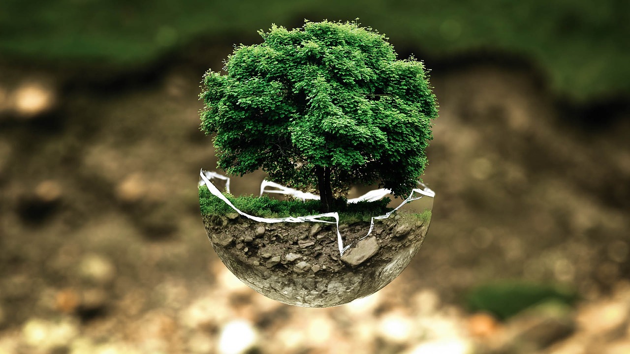 découvrez comment les leaders de la transition écologique inspirent le changement durable. plongez dans des initiatives innovantes, des stratégies éprouvées et des témoignages engageants qui façonnent un avenir respectueux de l'environnement.