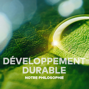 découvrez les initiatives de progrès durables en france, alliant innovation et respect de l'environnement pour bâtir un avenir plus responsable et durable.