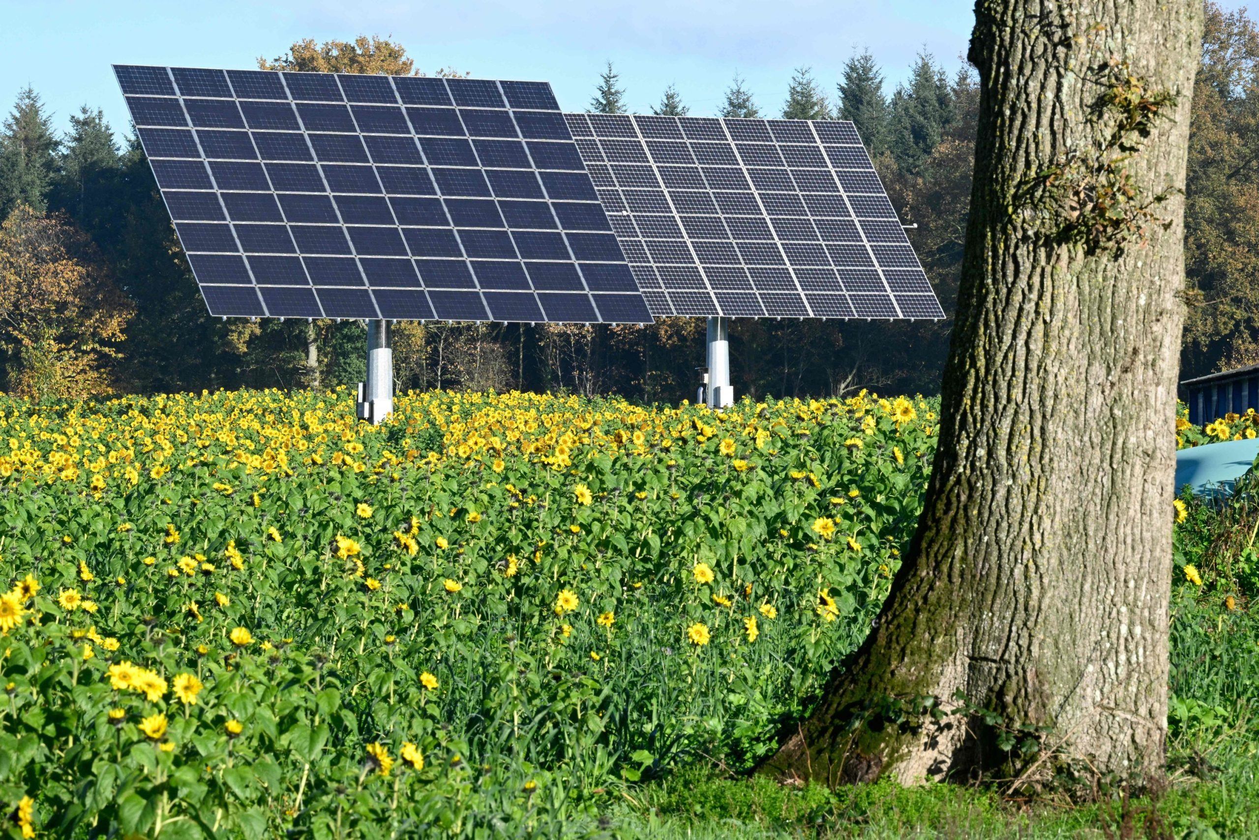 découvrez les ressorts législatifs régissant l'installation des panneaux solaires en france. informez-vous sur les lois, incitations fiscales et normes pour optimiser votre projet d'énergie renouvelable.