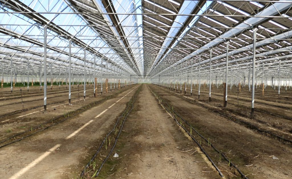 découvrez la serre photovoltaïque de mallemort, un espace innovant alliant agriculture durable et production d'énergie solaire. explorez les avantages écologiques et économiques de cette technologie avant-gardiste qui révolutionne l'horticulture.