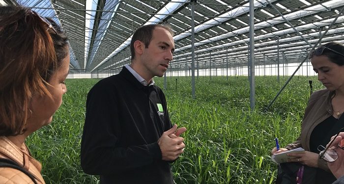 découvrez la serre photovoltaïque à mallemort, une solution innovante qui allie agriculture durable et production d'énergie solaire. optimisez vos récoltes tout en protégeant l'environnement grâce à cette technologie écologique. informez-vous dès maintenant sur nos projets et leurs avantages.