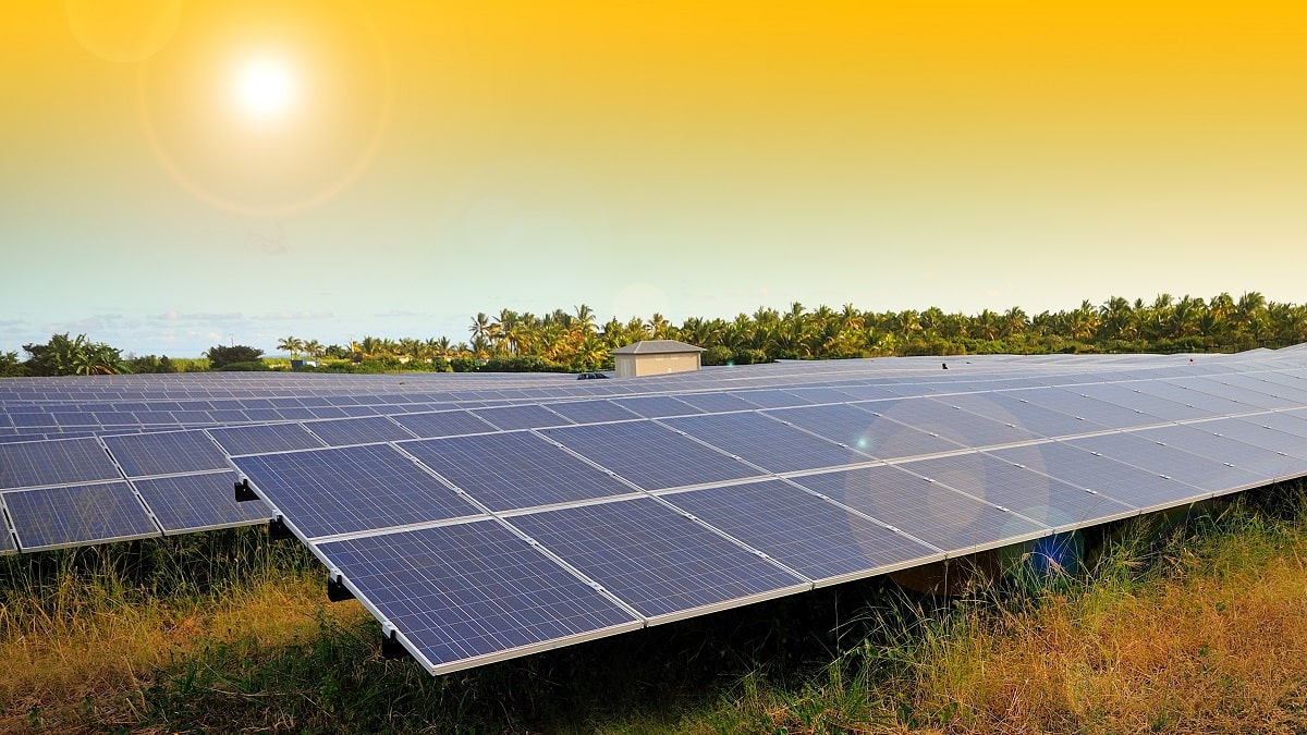 découvrez l'usine solaire en algérie, un projet innovant qui exploite l'énergie renouvelable pour un avenir durable. plongez dans les avantages de cette initiative écologique et explorez comment elle contribue à réduire l'empreinte carbone tout en alimentant le pays en électricité propre.